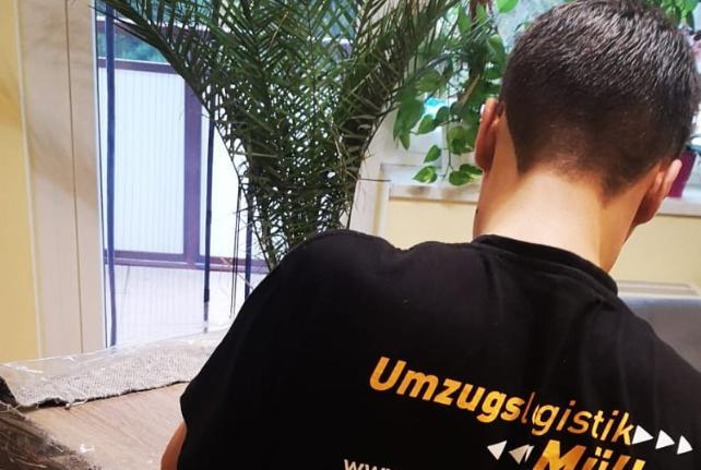 Preise für Ihren Studentenumzug in Zettlitz